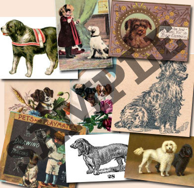 20 Pack Vintage Dogs Images Download