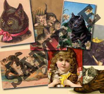 20 Pack Vintage Cats Images Download