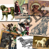 20 Pack Vintage Dogs Images Download