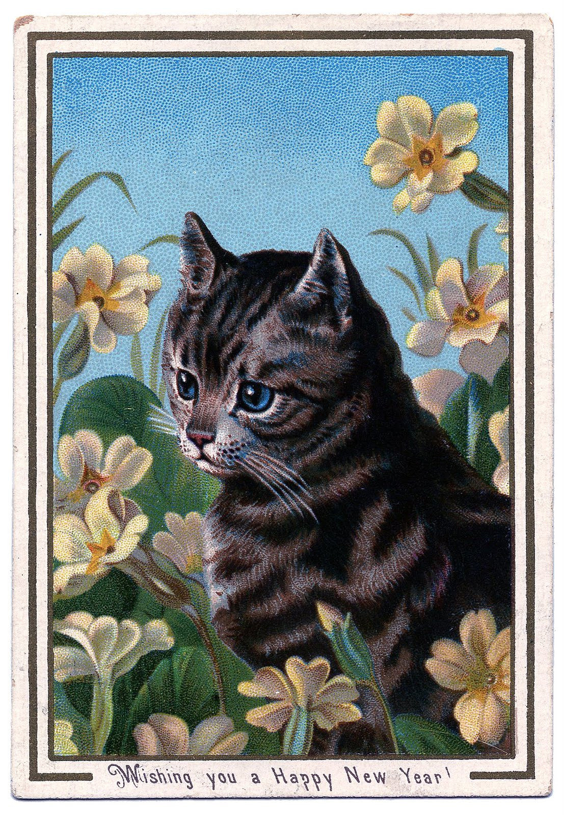 Free Vintage Cat Image To Download