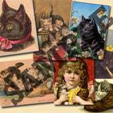 20 Pack Vintage Cats Images Download