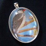 20 Pack Large Silver Oval Photo Pendants w/ Glass Tops 40x30mm
