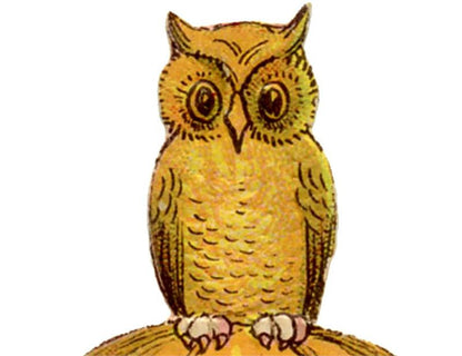 Free Vintage Owl Image To Download