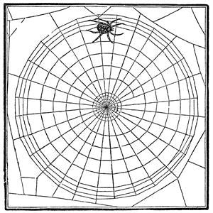 Free Vintage Spider Web Graphic